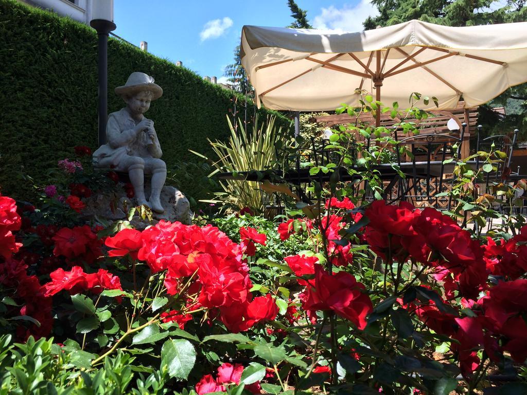 Hotel Parco Delle Rose San Giovanni Rotondo Esterno foto
