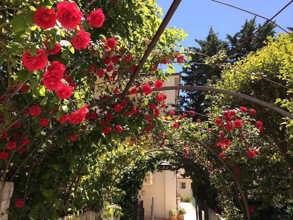 Hotel Parco Delle Rose San Giovanni Rotondo Esterno foto